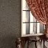 AS037